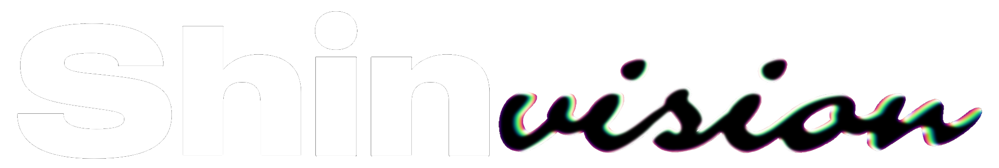 shinvision
